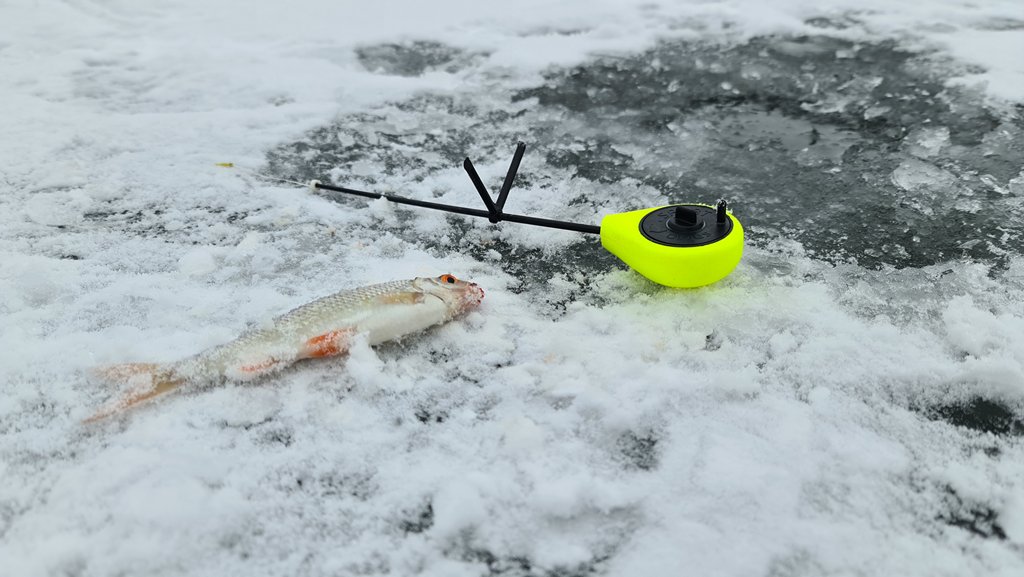 Рыбалка зимой: подробное руководство для новичка по безмотылочному лову